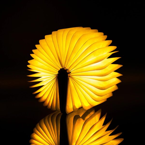 Smart Book Light - immagine 8
