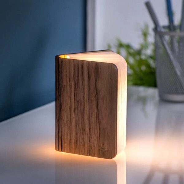 Smart Book Light
