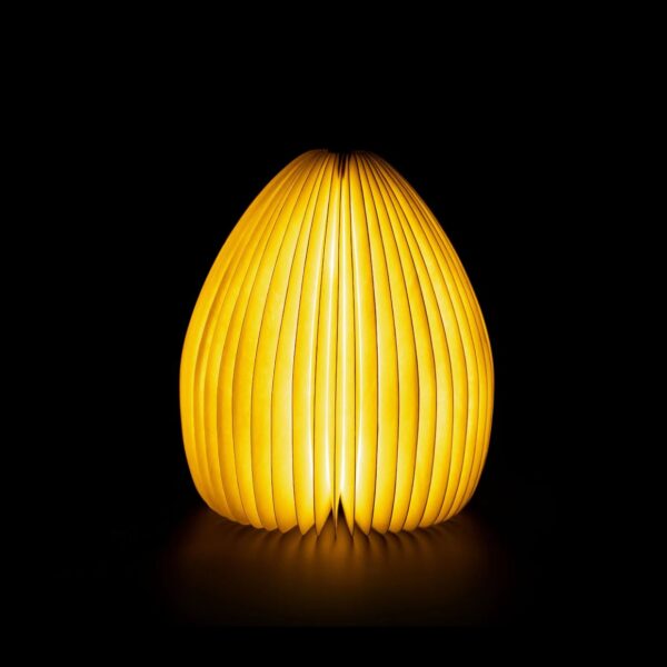 Lampada Vaso Luce - immagine 5